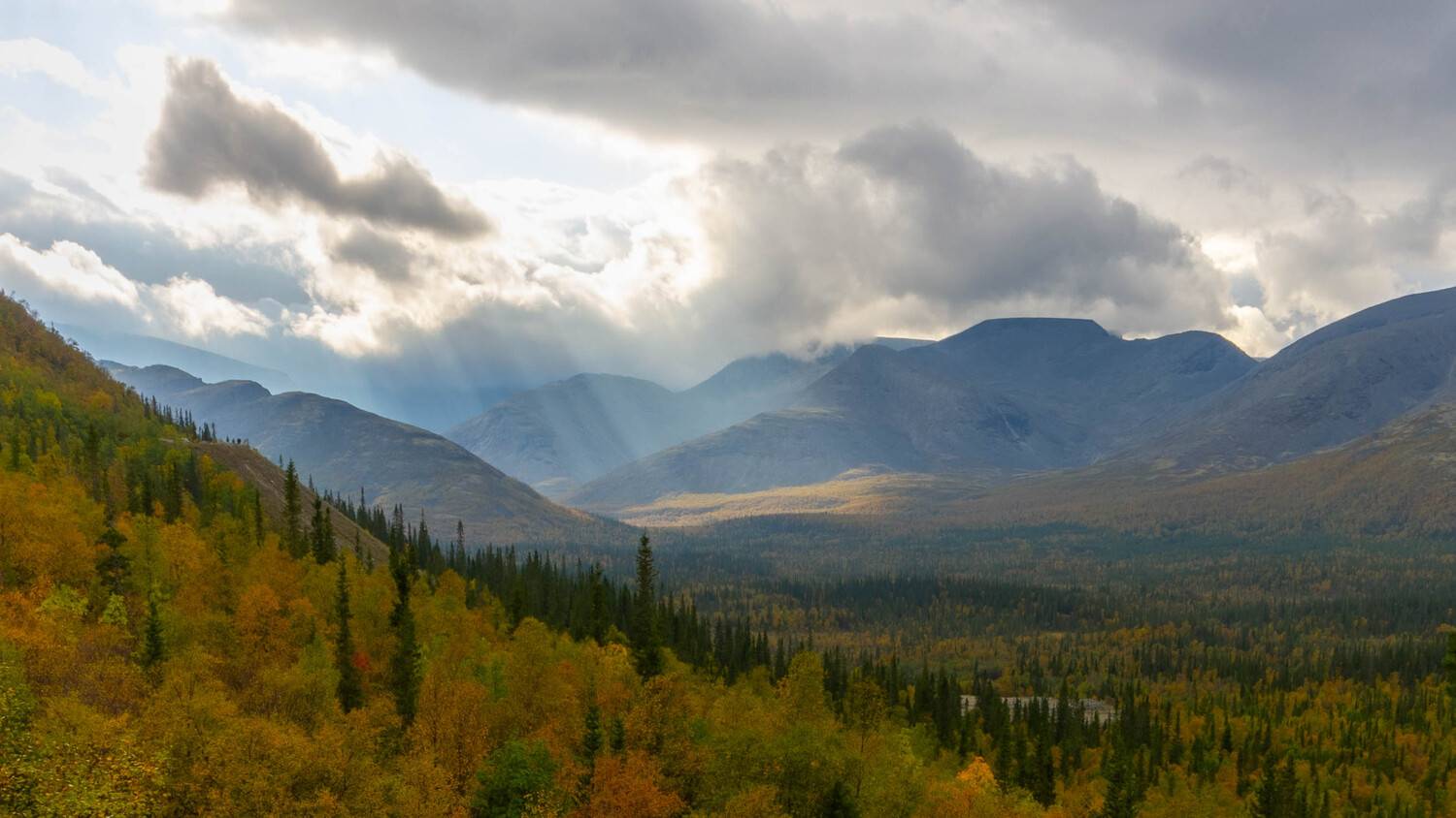 , Комарова Вера