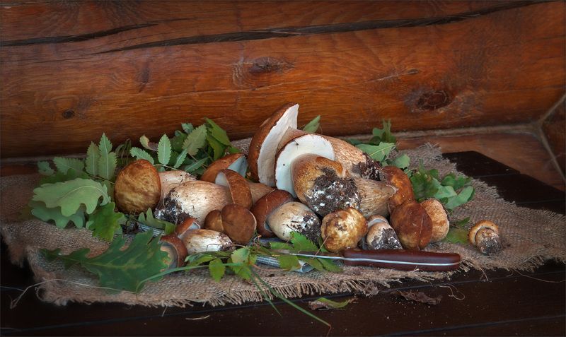 С грибами фото превью