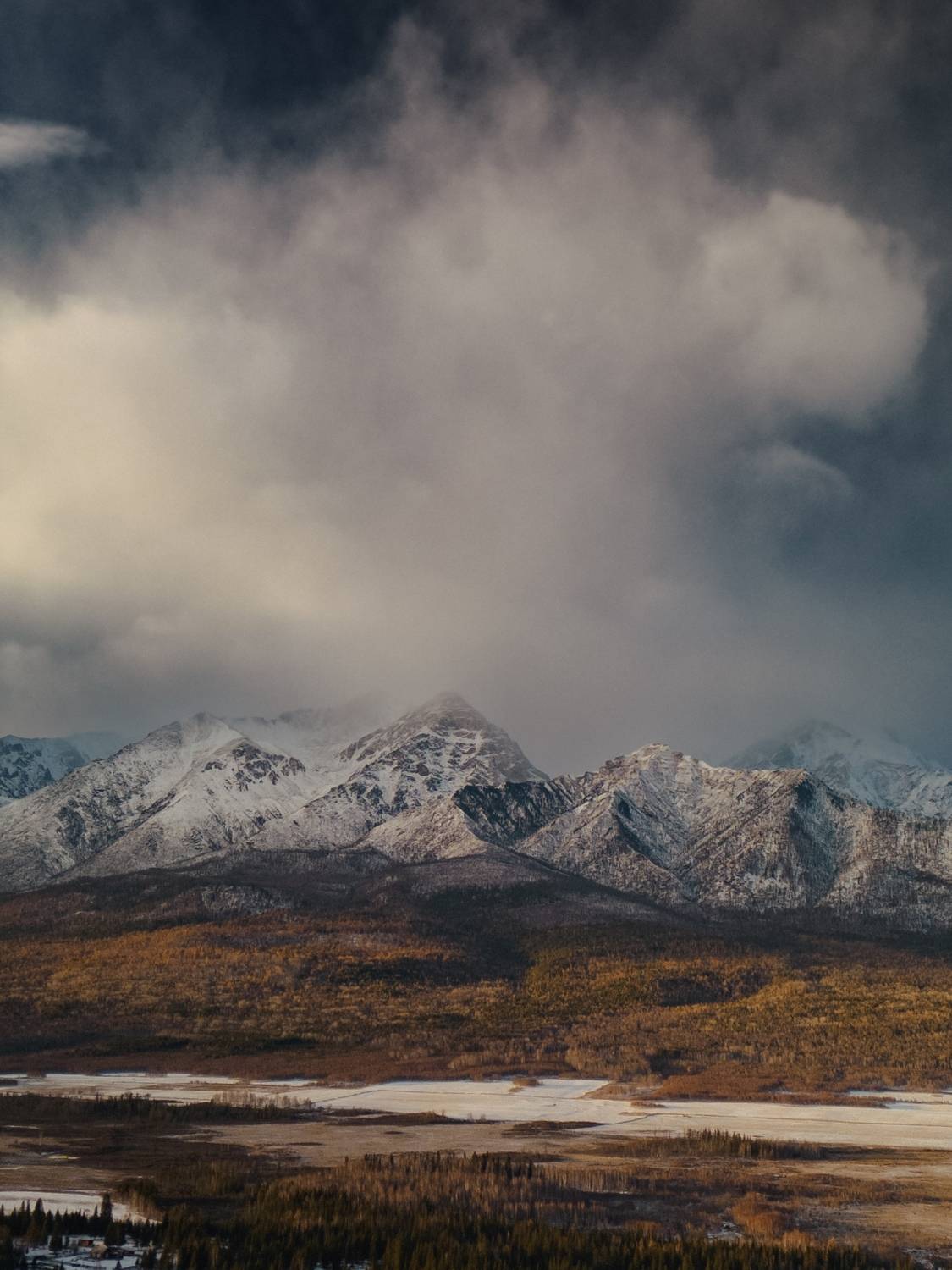 , Большаков Алексей