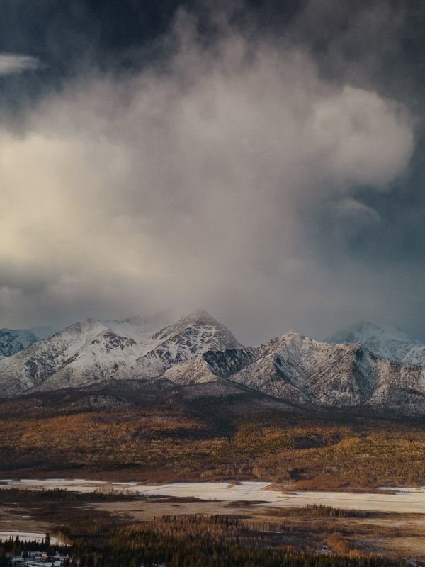 Предзимье фото превью