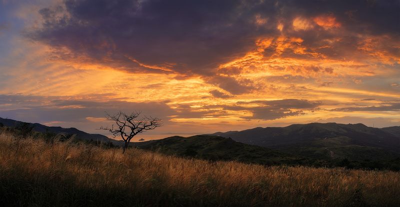 Орлинка, Приморье фото превью