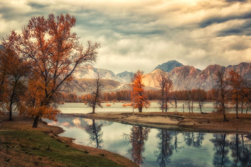 Осенние краски... фото превью