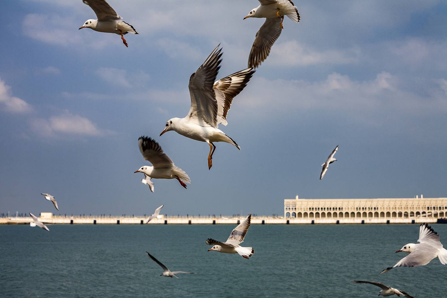 , Пимонов Сергей