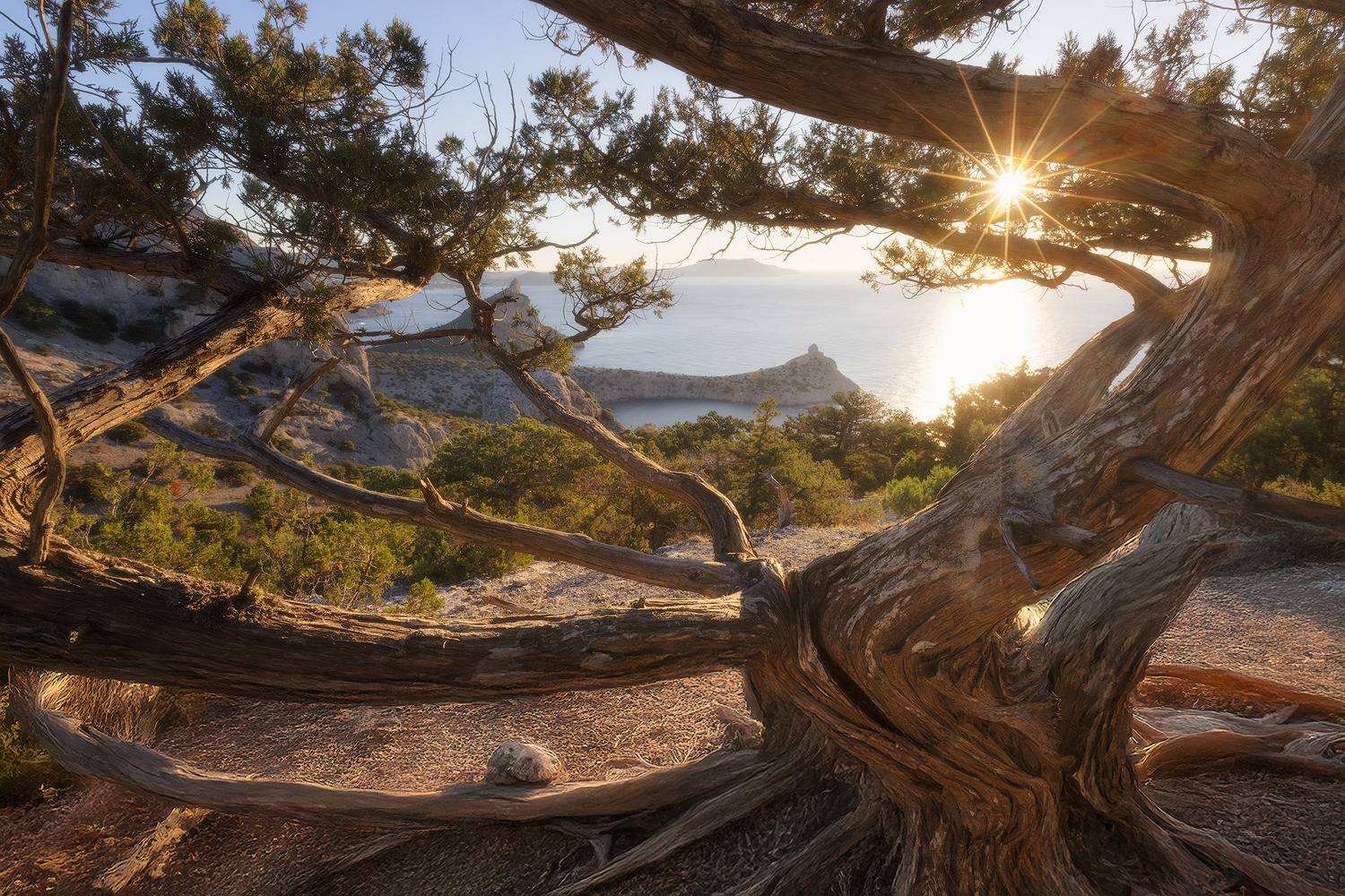 , Костенко Александр