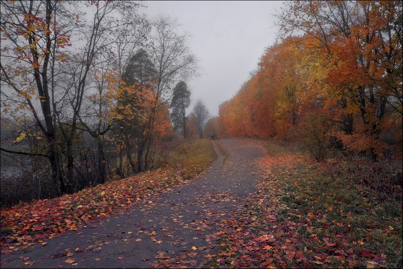 Красный октябрь фото превью