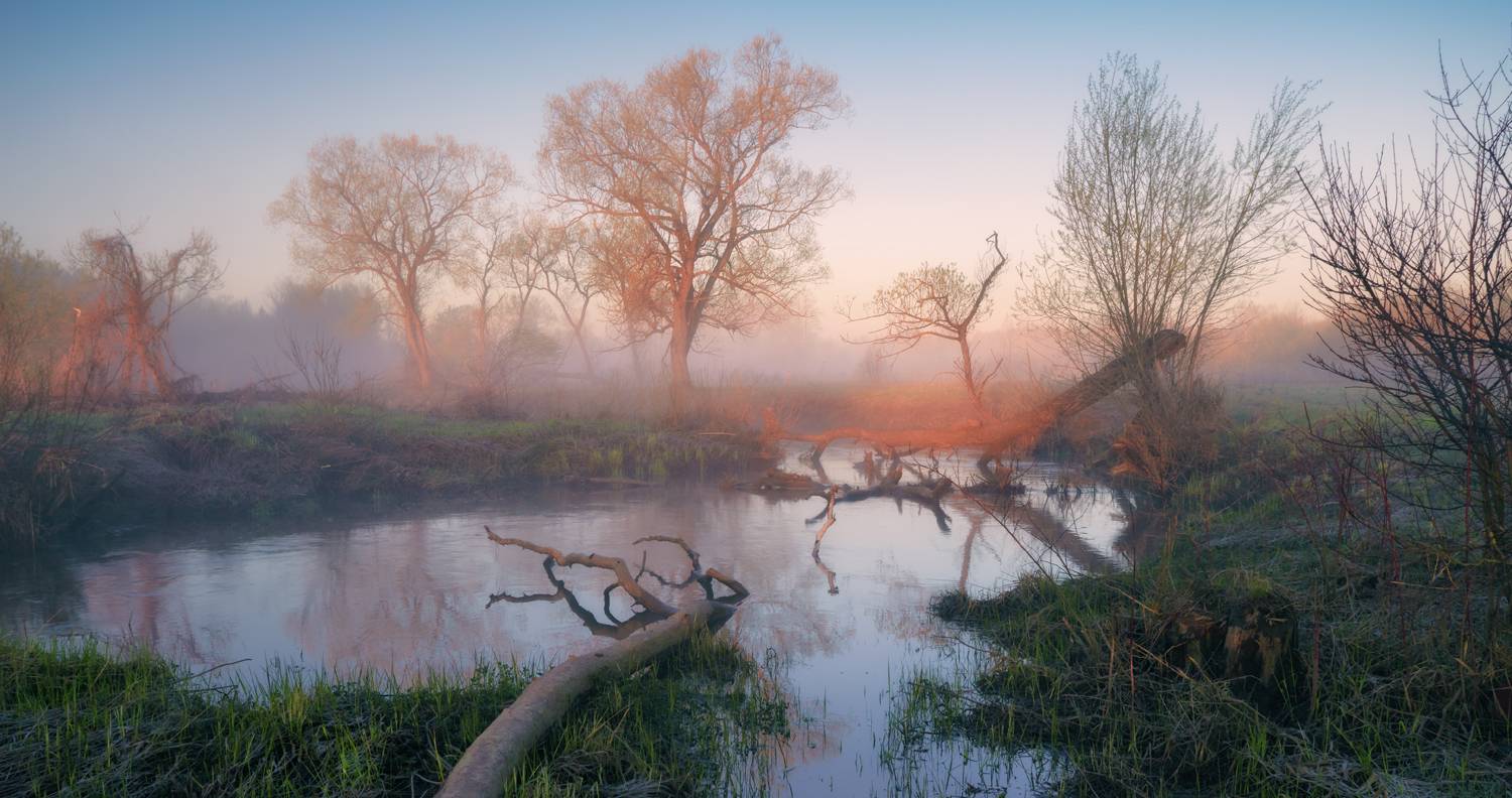 , Роман Лушпа