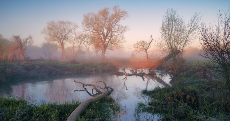 Заводёнка ... фото превью