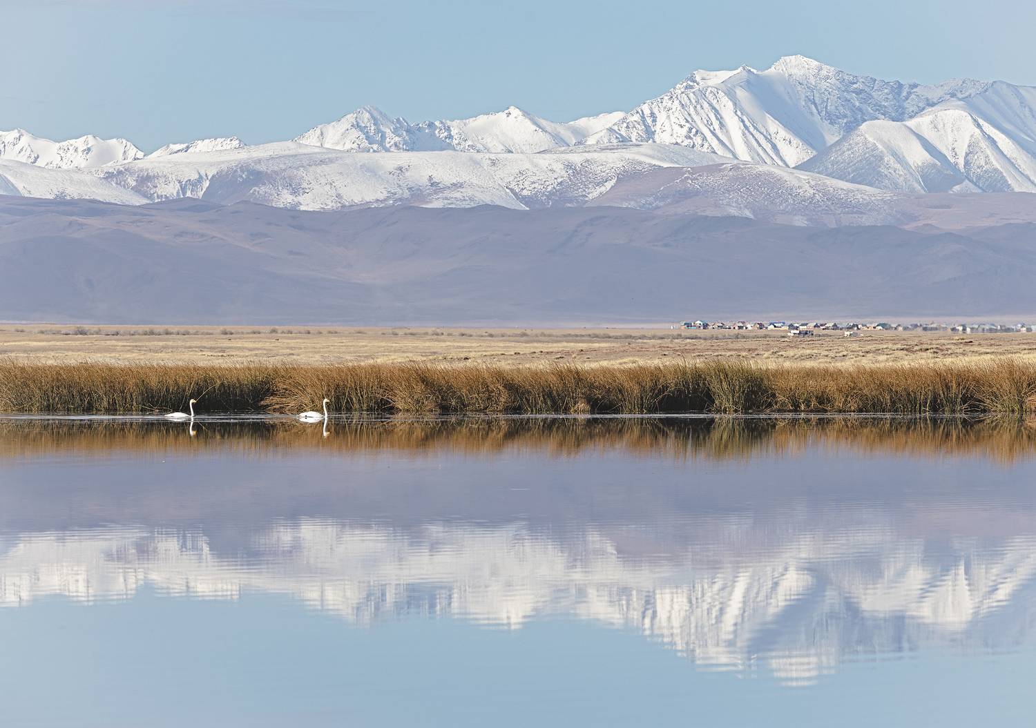 неразлучная пара..., Бирюков Вячеслав