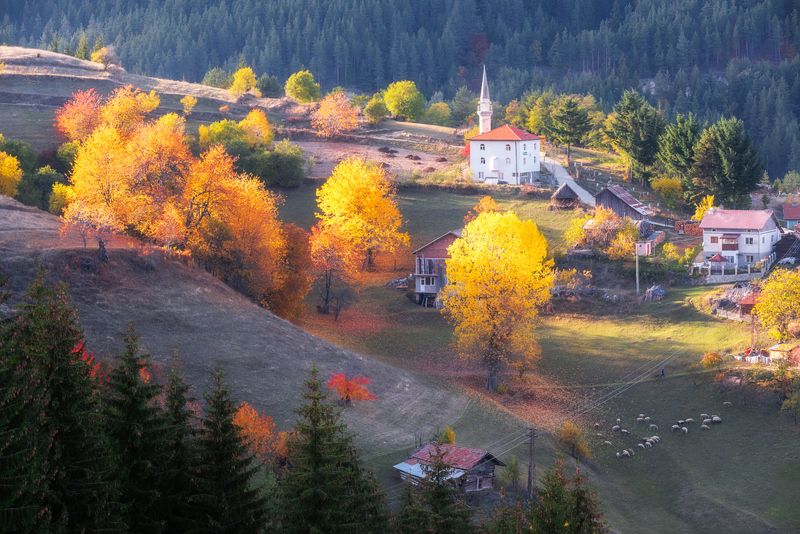 фото превью