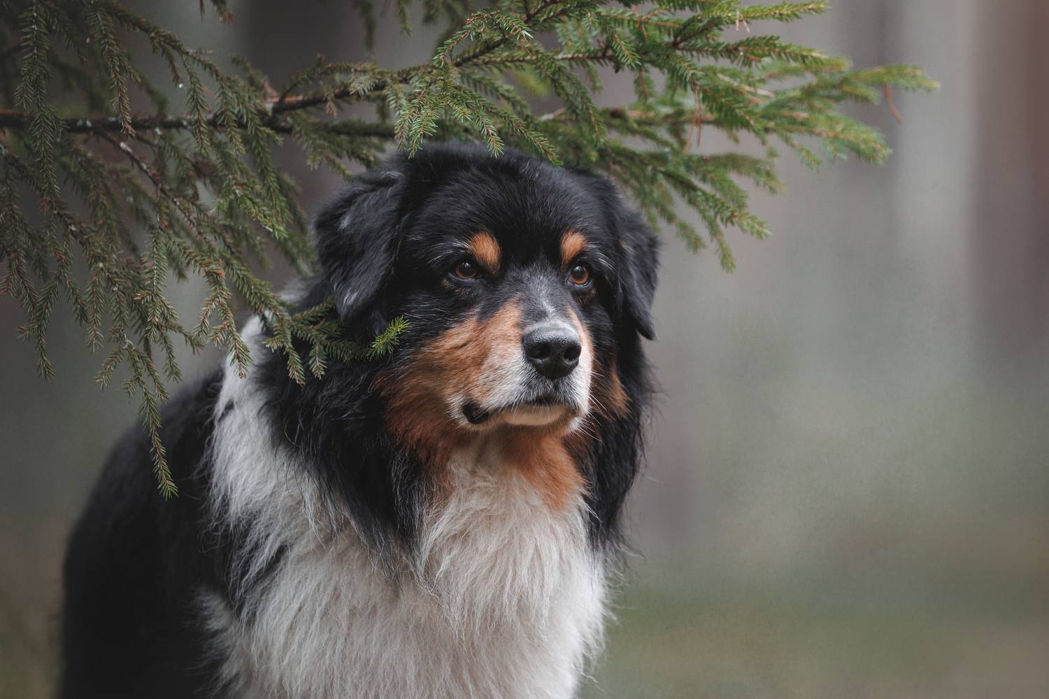 , Яна Нарбутович