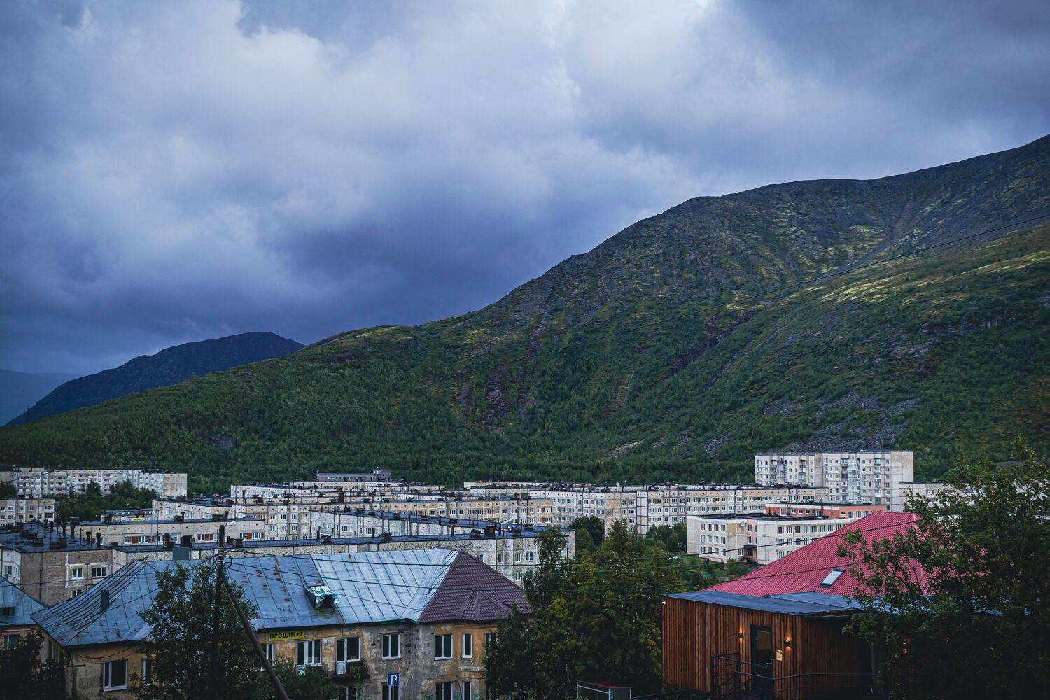 , Александр Сахар