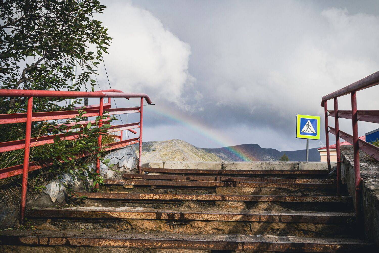 , Александр Сахар