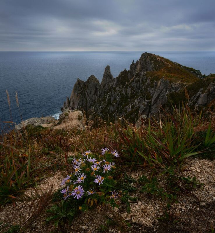 приморье Мыс Лисученко. фото превью