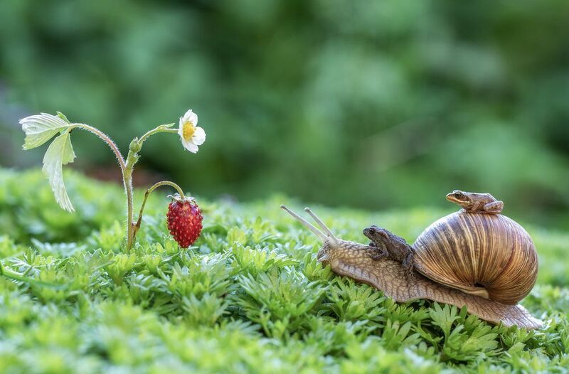 Безбилетники:) фото превью