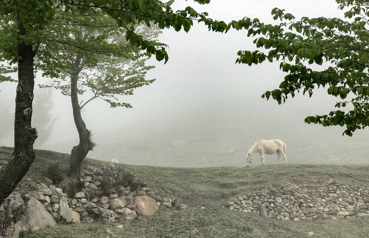 , Виктор Белименко