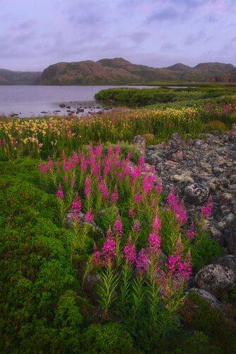 Краски заполярья
