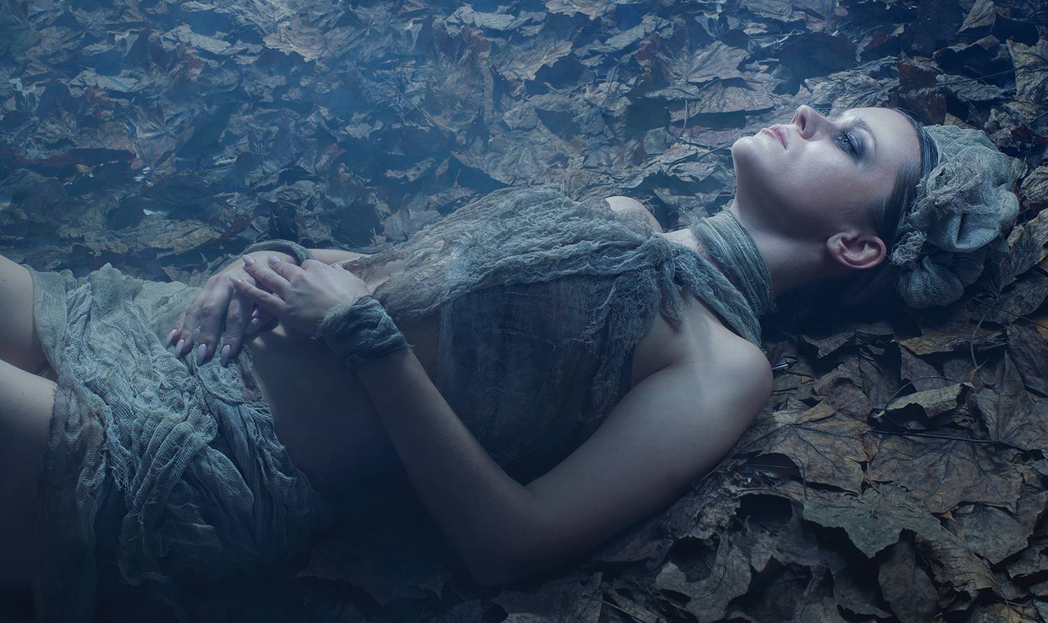 , Алексей Шишкин