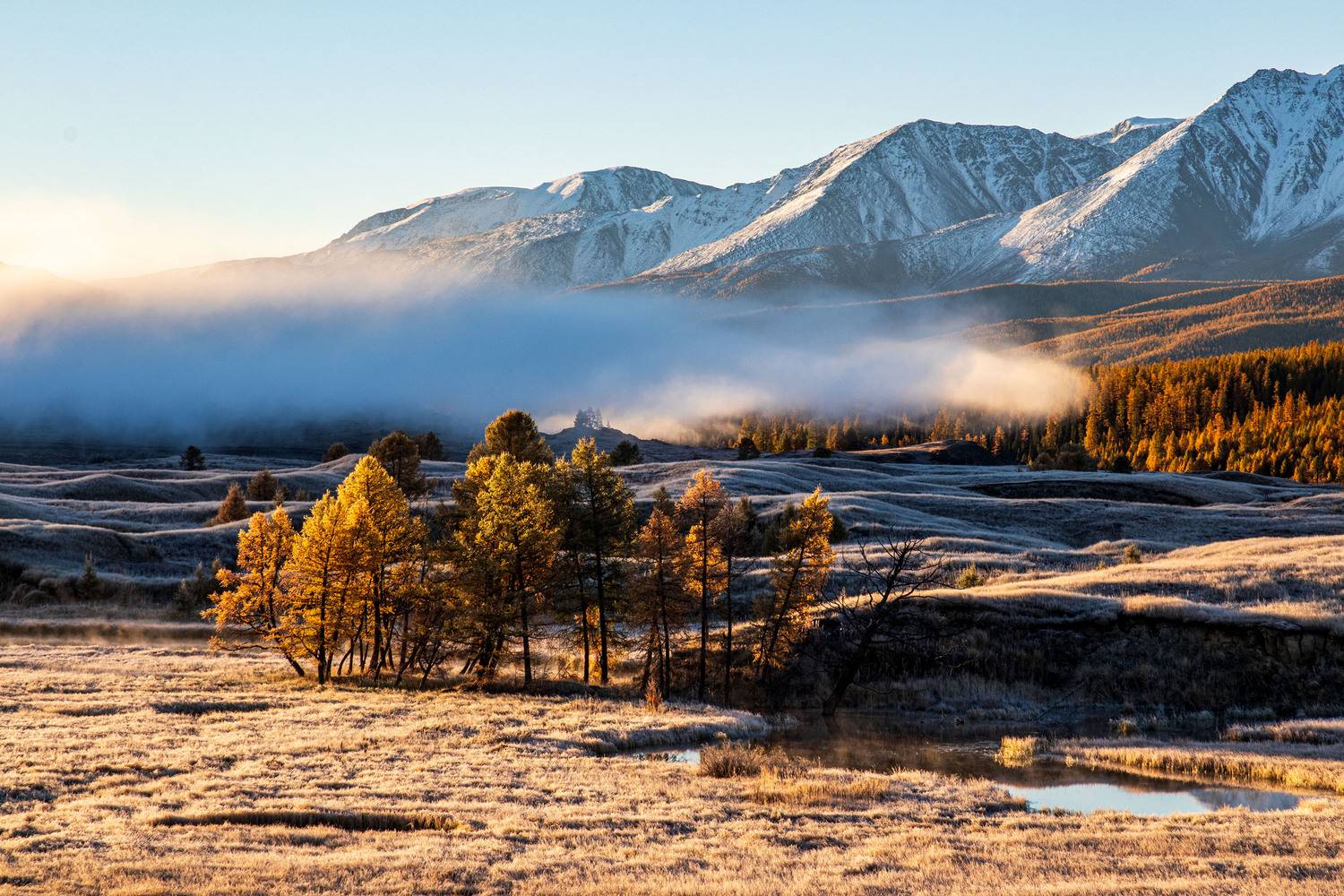 алтай, Добролюбова Тамара