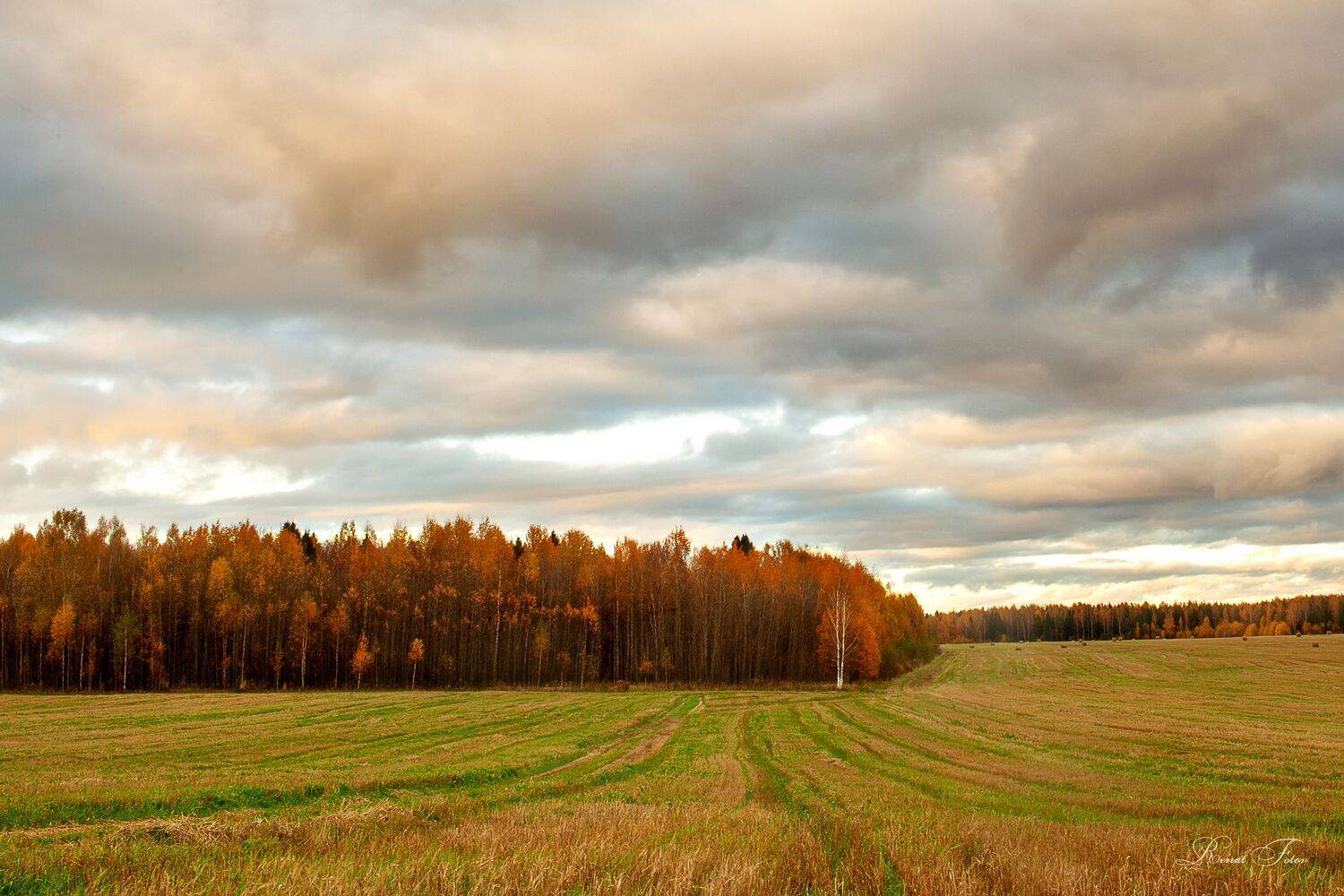 , Фотов Ренат