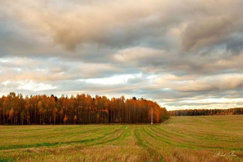 Костромской край фото превью