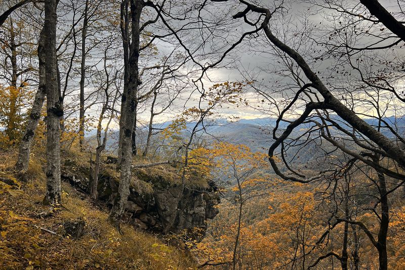 Осень в горах фото превью