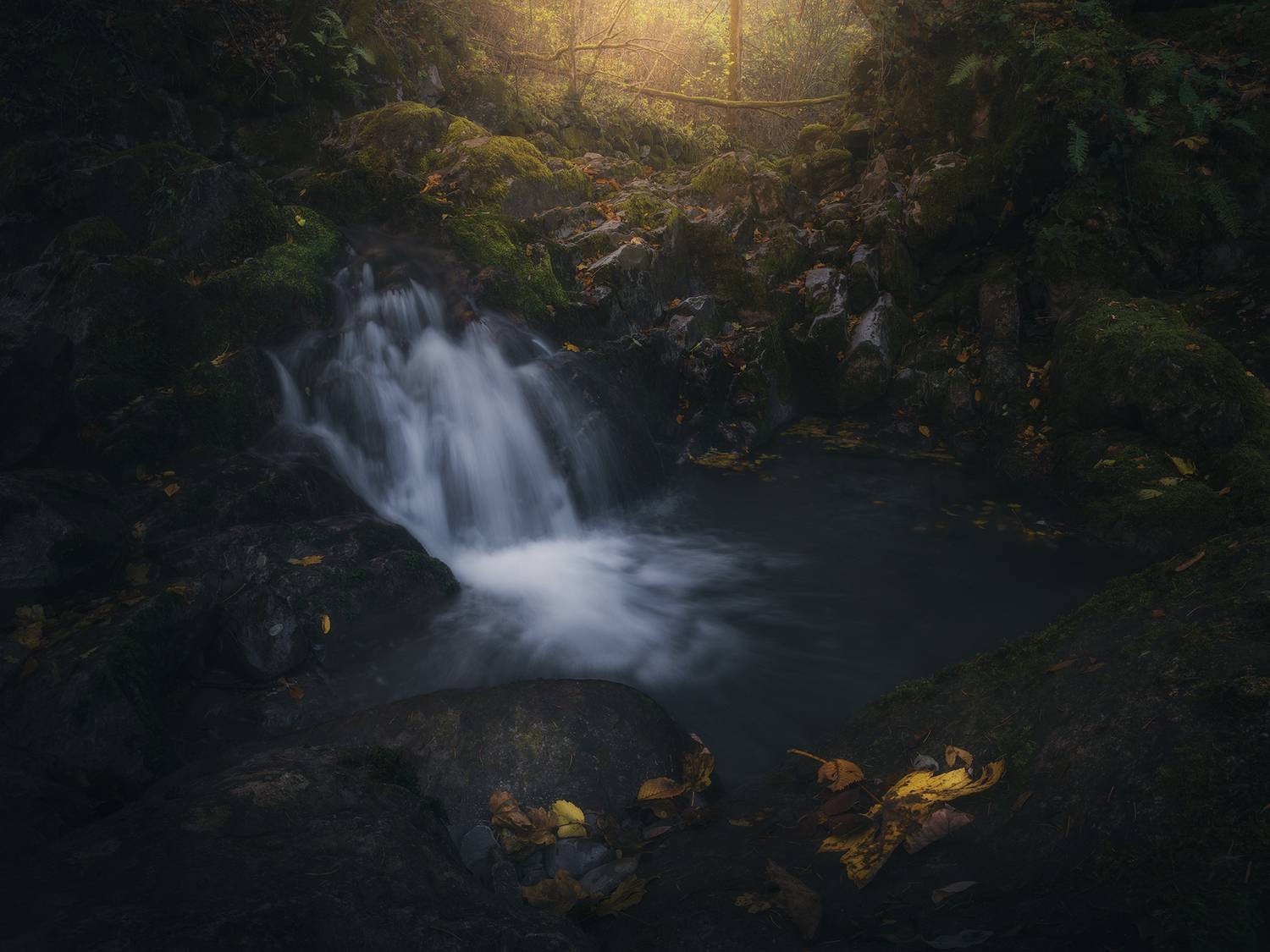 , de Franzoni Thomas