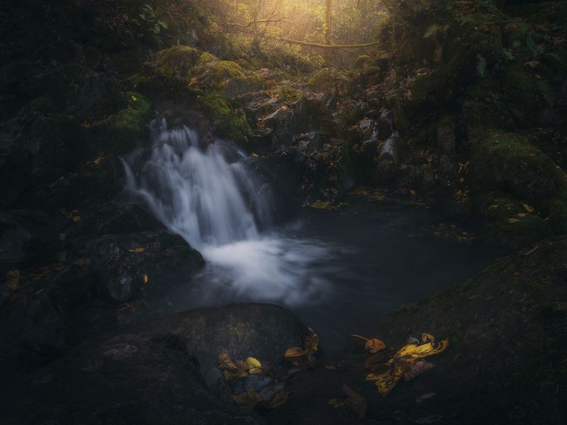 Autumn Falls Silent фото превью