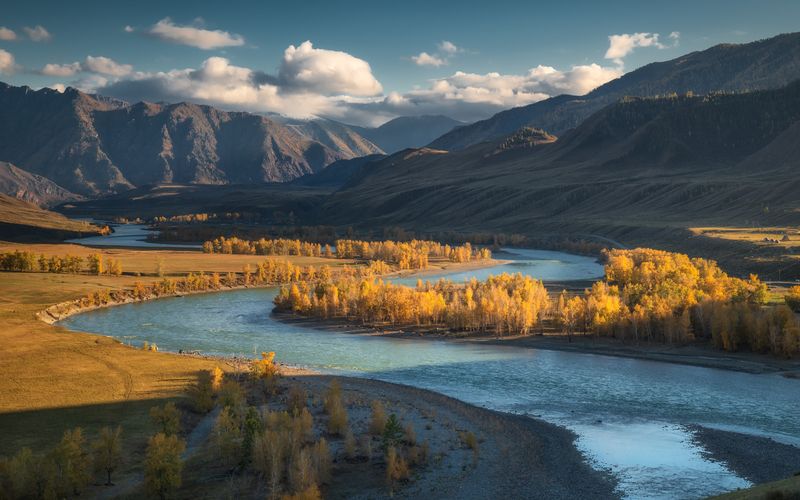 алтай, горный алтай, пейзажи алтая, онгудайский район, горная река, катунь, золотая осень, горы, осенний алтай Синяя река, золотые берега фото превью