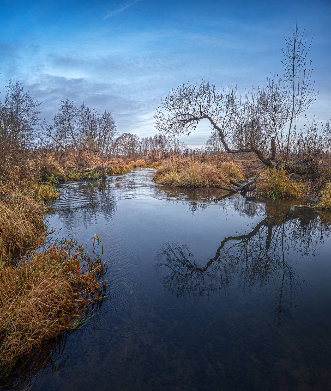 , Андреев Николай