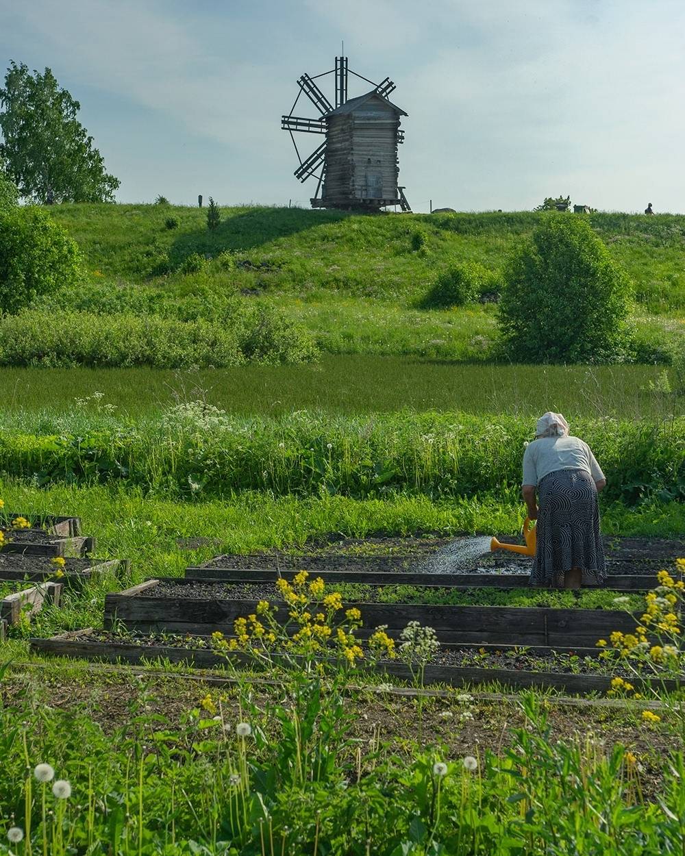 , Петр Косых