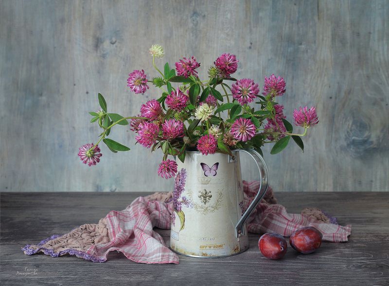 букет, клевер, кувшин, полотенце, сливы Лето. Дача. Клевер. фото превью