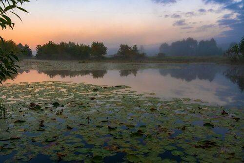 На рассвете.