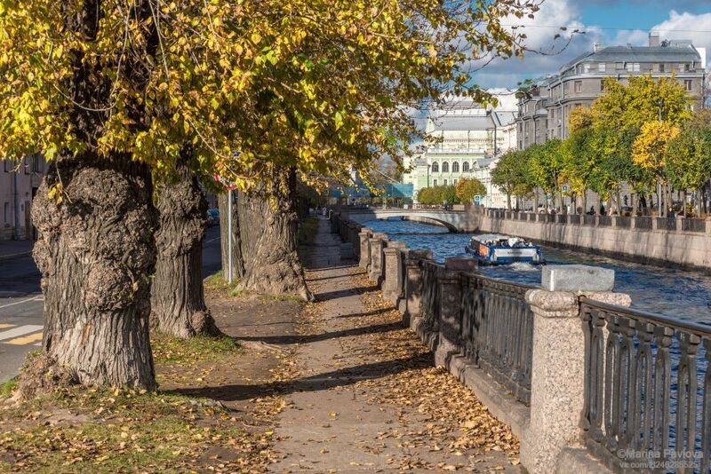 город, архитектура, городской пейзаж, санкт - петербург, набережная крюкова канала, крюков канал, старые городские деревья, золотая осень, осенний петербург Осенний Крюков канал фото превью