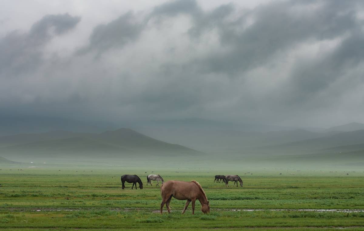 , Трофимов Алексей