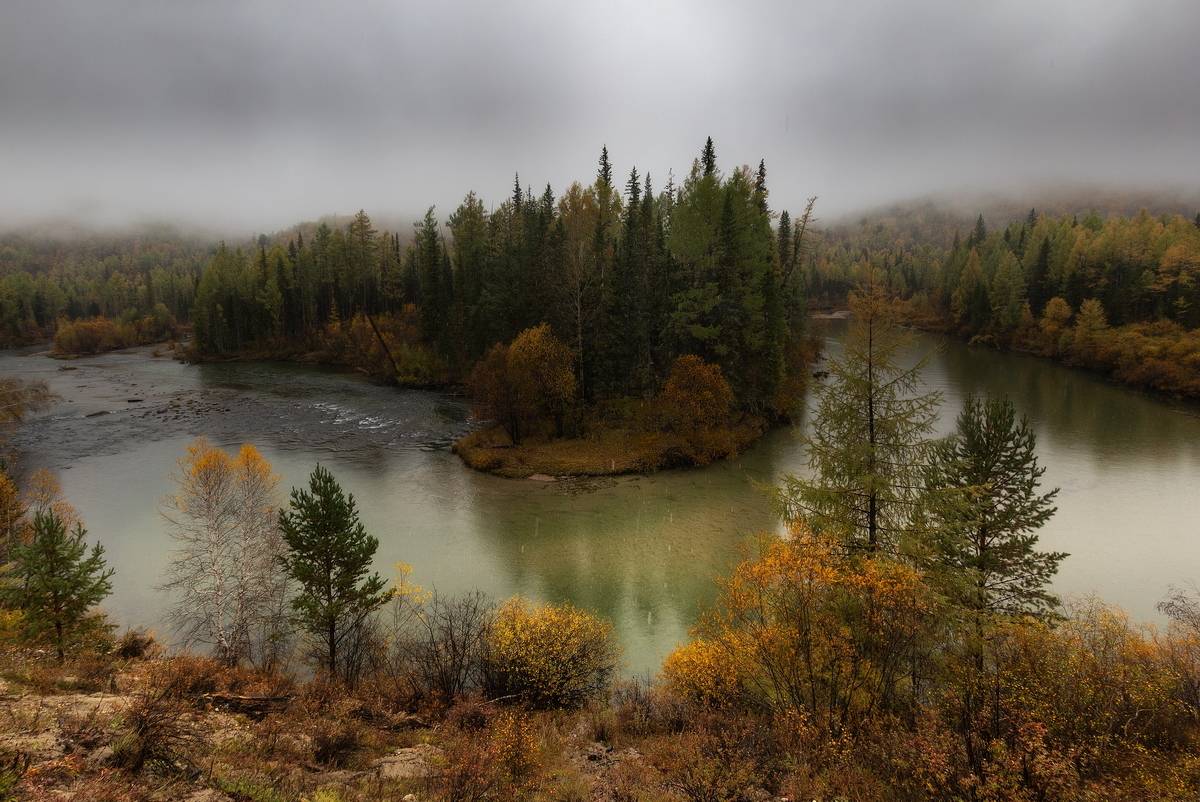 , Трофимов Алексей
