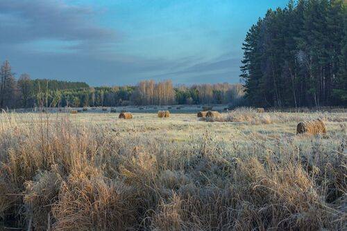 Маленькие радости поздней осени