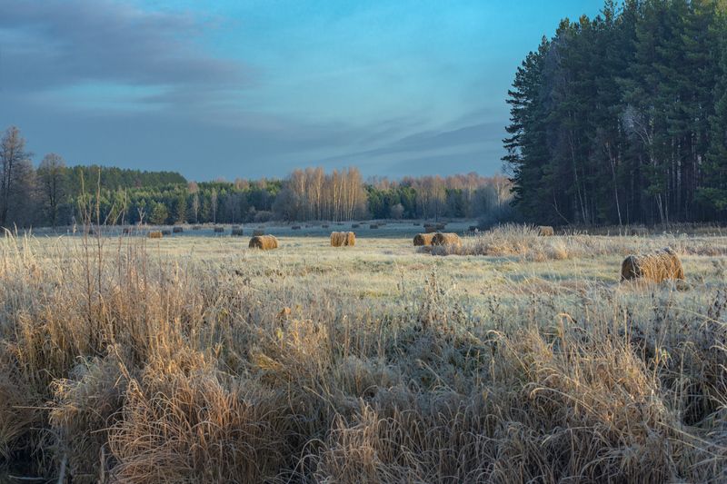 Маленькие радости поздней осени фото превью
