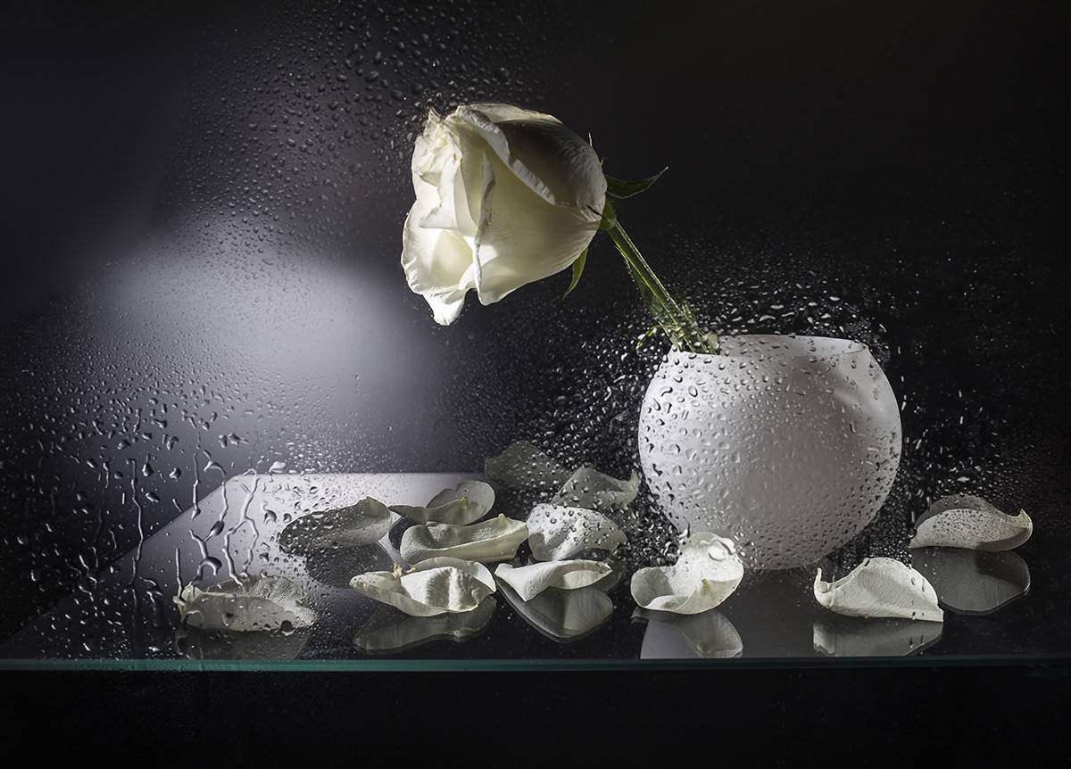 , Евгений Попов