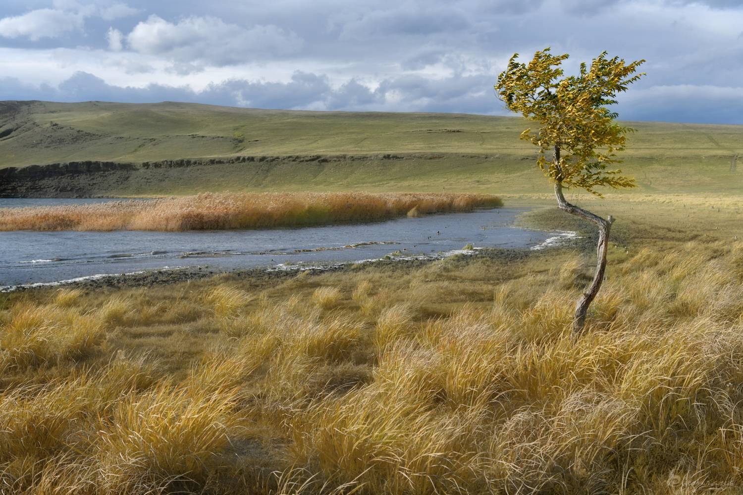 , Крат Светлана