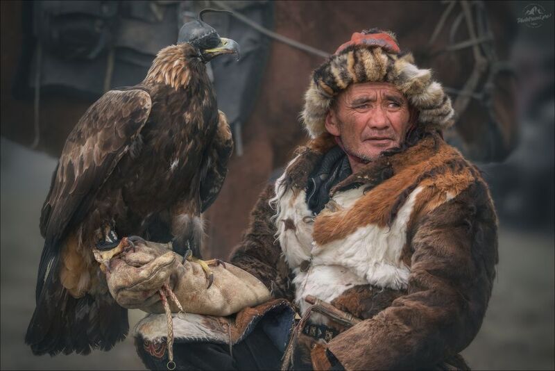 беркут, беркутчи, монголия, mongolia, алтай, фототур на алтай и в монголию, фототуры 2026, phototravel.pro, фототур на алтай осенью 2026, golden eagle festival, sagsay golden eagle festival, фестиваль охотников с беркутами, фестиваль беркутчи БЕРКУТЧИ фото превью