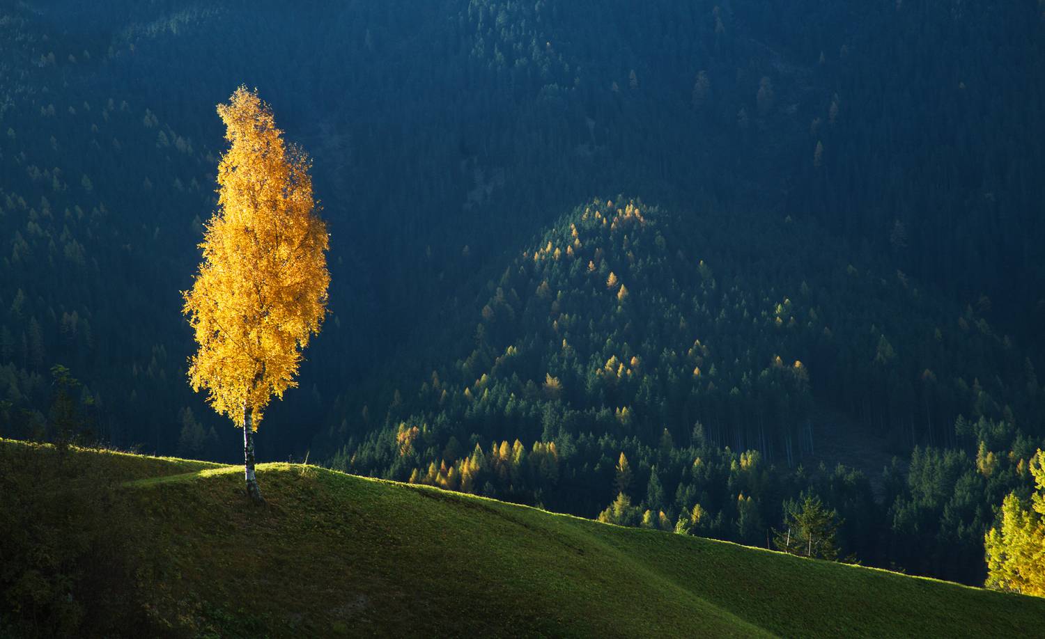горы пейзаж утро осень, Мурзинов Виктор