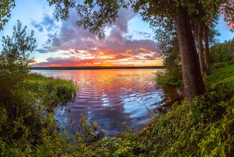 ленинградская область, рассвет, лето, осень, небо, красочное, дерево, облака, лес, водоём, озеро, пруд, река, рассвет, луг, ладожское озеро, вепсский край, отражение, берёза, Пейзажные картины фото превью