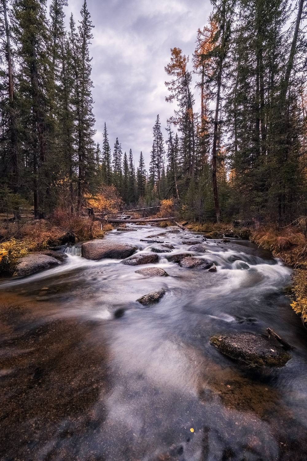 , Бодрягин Виталий