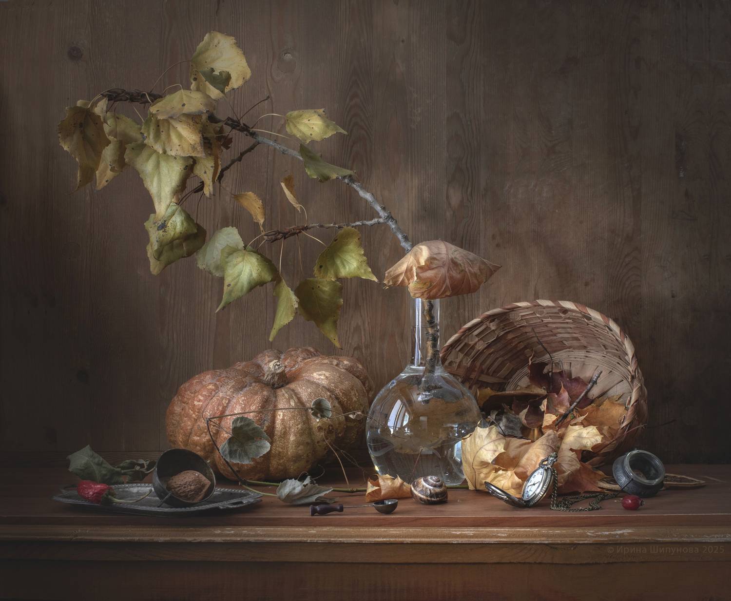 , Шипунова Ирина