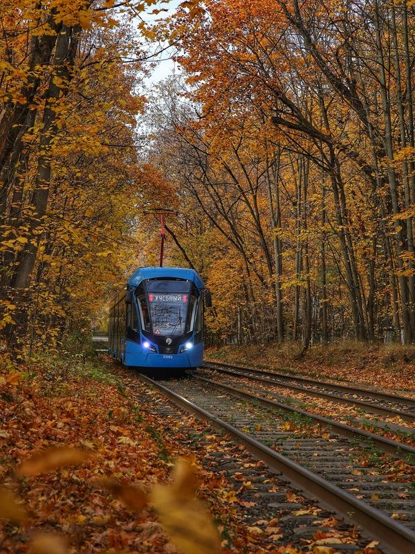 Осень в Сокольниках  фото превью