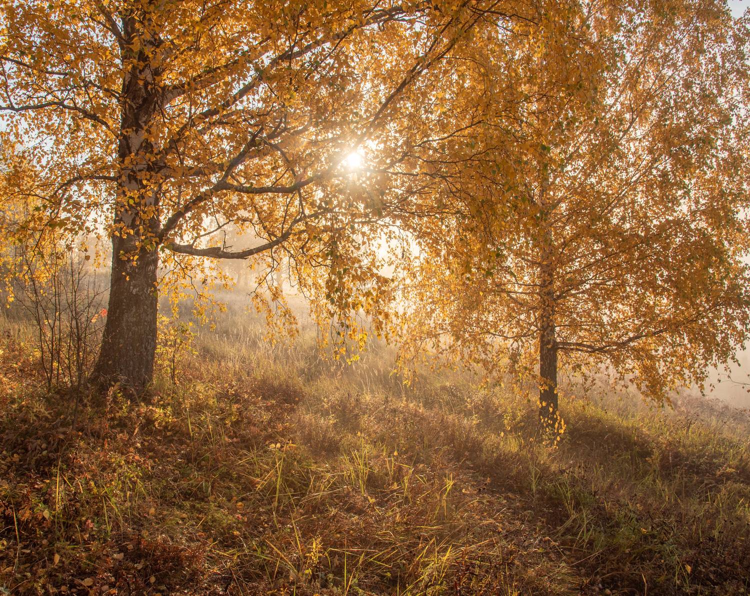 , Карепанов Евгений