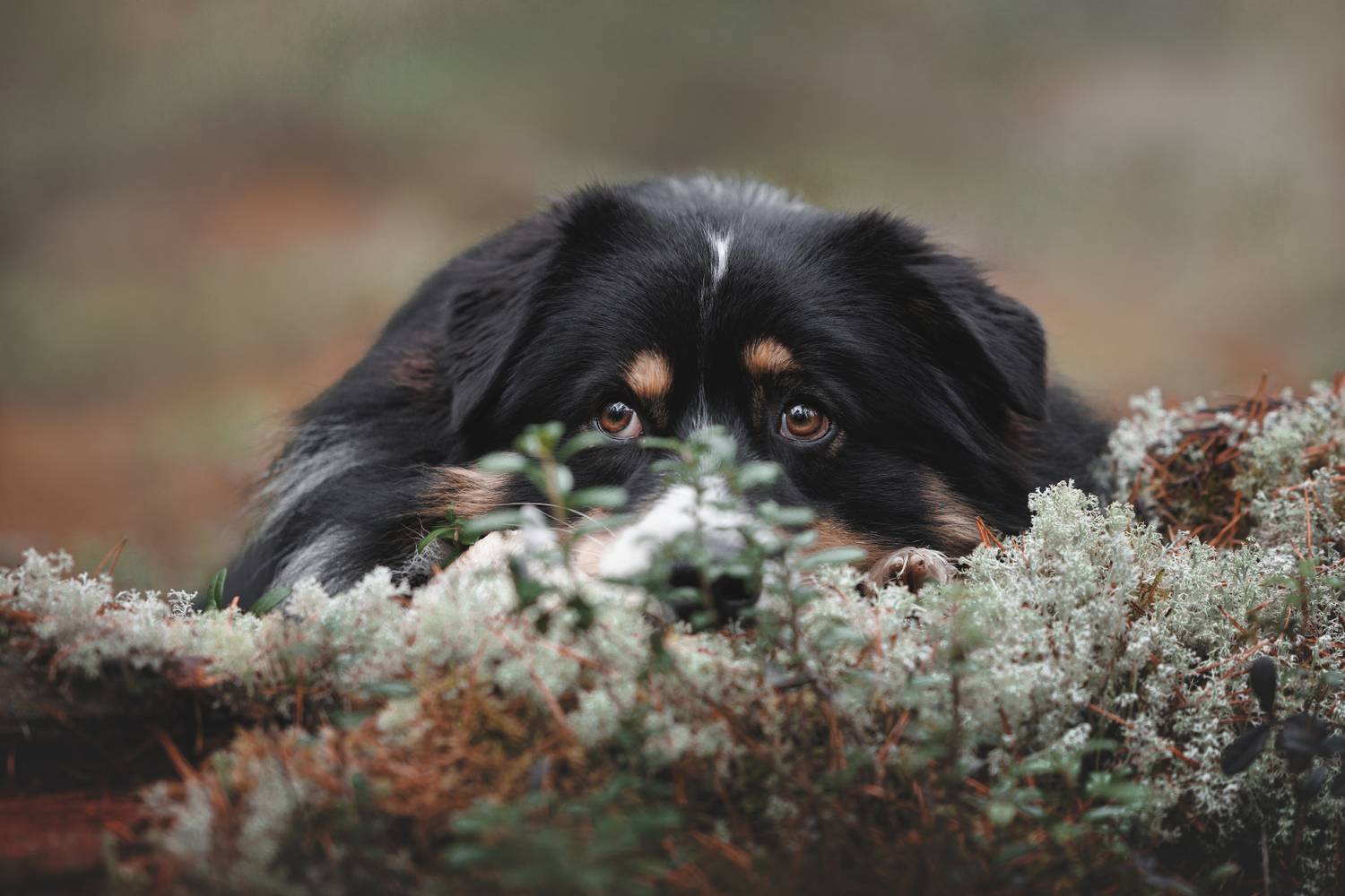 , Яна Нарбутович