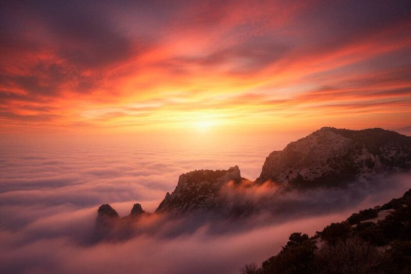 крым, новый свет, туман, закат, горы, деревья когда горы спят фото превью