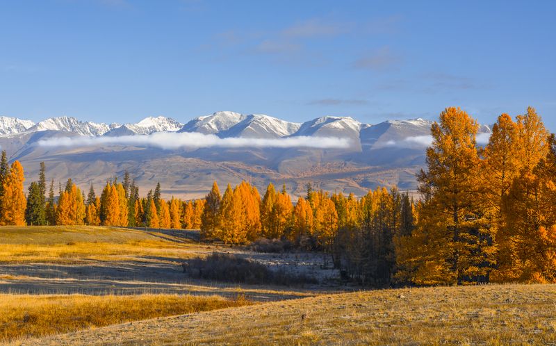 россия, горный алтай,осень,утро Осень на Алтае фото превью