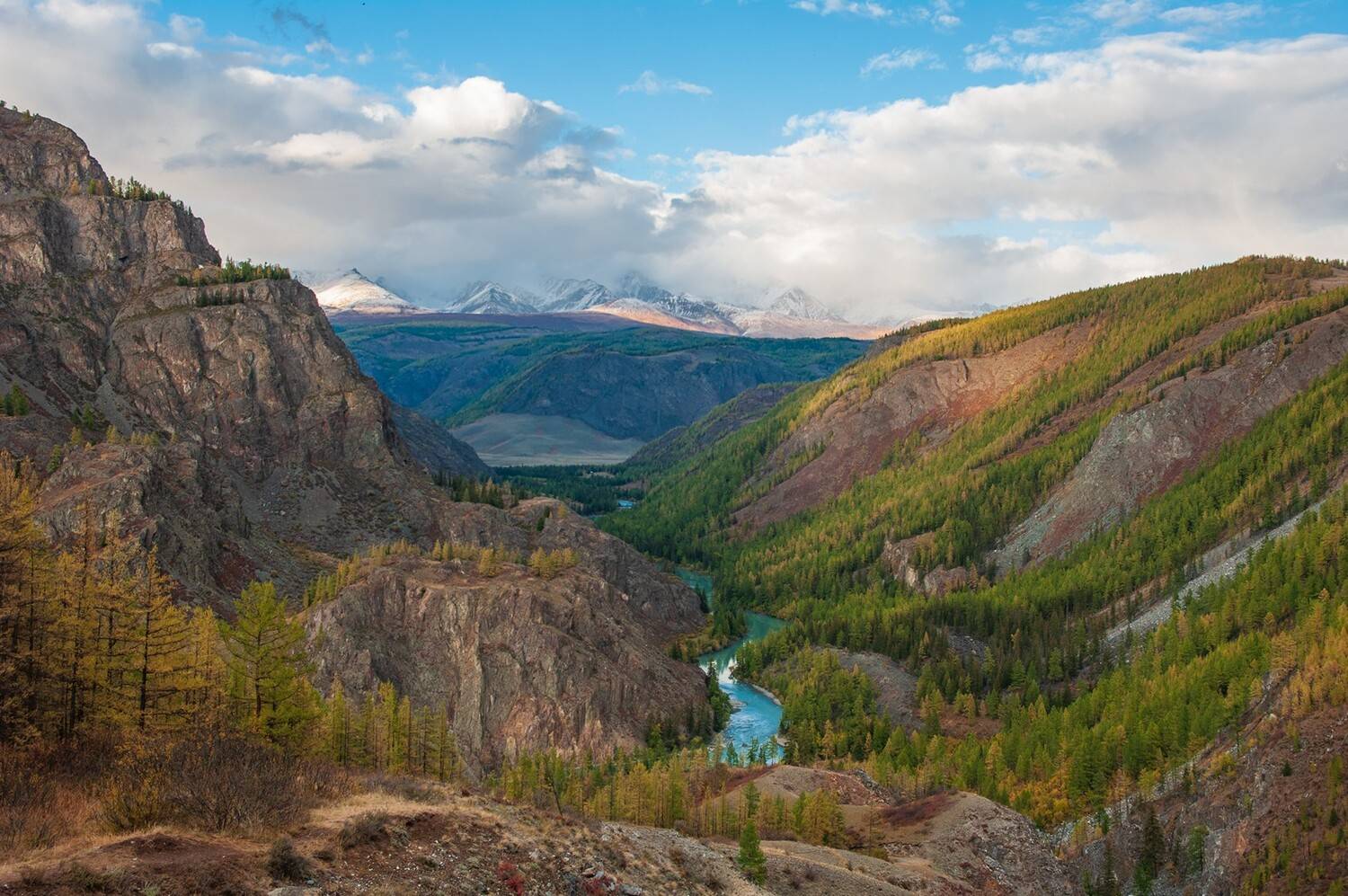 алтай, чуя, маашей, осень, лиственницы, вечер, река, долина, горы, Мальцев Юрий